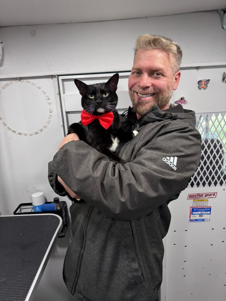 whatsapp image 2026 04 09 at 14.22.49