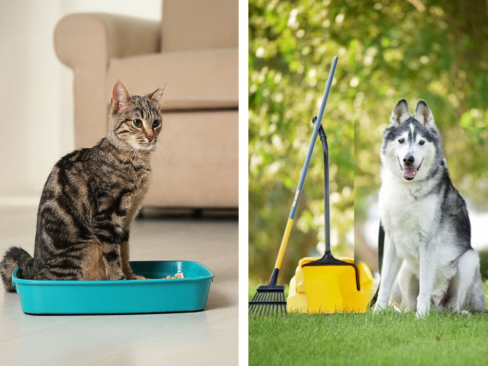 waste removal and littering cleanning.jpg